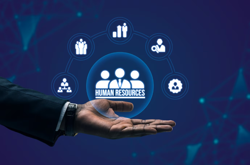 أهمية نظام إدارة الموارد البشرية ومكوناته